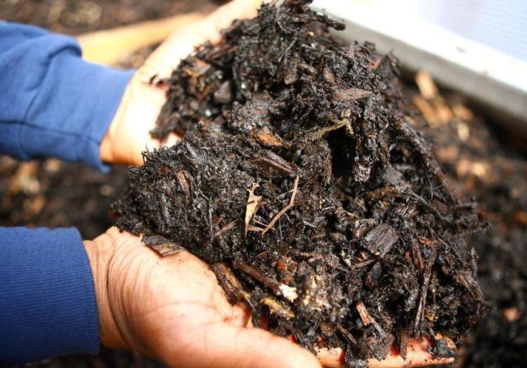 Finished compost at the Rid-All Green Partnership. Photo courtesy of the Rid-All Green Partnership.